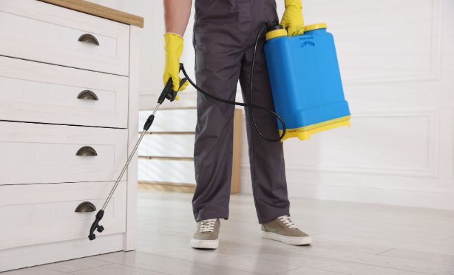 Aplicação de dedetização com pulverizador manual