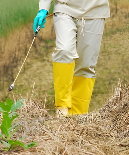 capina química com aplicador em área verde
