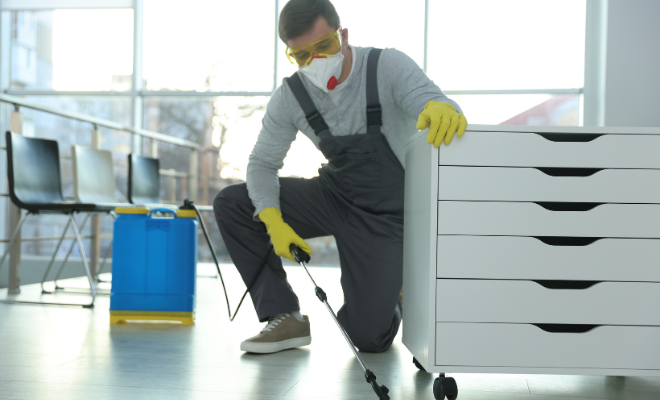 Técnico aplicando dedetização em rodapé